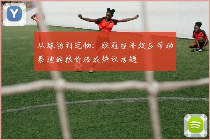 从球场到宠物：欧冠经济效应带动泰迪狗粮价格成热议话题